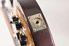 Rickenbacker 330/6 75th Ann, DCMetallic: Close up - Free