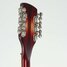 Rickenbacker 360/12 V64, Fireglo: Headstock - Rear