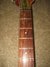 Rickenbacker 450/6 , Fireglo: Neck - Front