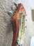 Rickenbacker 450/6 , Fireglo: Close up - Free2