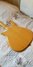 Rickenbacker 450/6 Mod, Mapleglo: Body - Rear