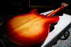 Rickenbacker 345/6 , Fireglo: Full Instrument - Rear