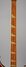 Rickenbacker 4001/4 , Burgundy: Neck - Front