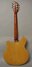 Rickenbacker 365/6 , Fireglo: Full Instrument - Rear