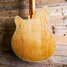 Rickenbacker 370/12 RM, Mapleglo: Body - Rear