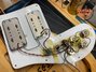Rickenbacker 481/6 Slant Fret, Mapleglo: Close up - Free2
