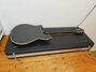 Rickenbacker 365/6 , Jetglo: Full Instrument - Rear