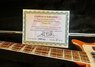 Rickenbacker 4003/4 SPC, Orangeglo Ltd: Neck - Front