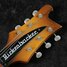 Aug 1975 Rickenbacker 480/6 , Autumnglo: Headstock