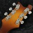 Rickenbacker 480/6 , Autumnglo: Headstock - Rear