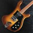 Rickenbacker 480/6 , Autumnglo: Body - Front