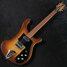 Rickenbacker 480/6 , Autumnglo: Full Instrument - Front