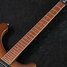Rickenbacker 480/6 , Autumnglo: Neck - Front