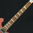 Rickenbacker 620/6 , Metallic Plumglo: Neck - Front