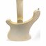 Rickenbacker 4000/4 BT, White: Body - Rear
