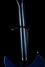Rickenbacker 330/6 , Blueburst: Neck - Rear