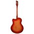 Rickenbacker 360/6 F, Fireglo: Full Instrument - Rear