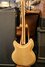 Rickenbacker 381/12 V69, Mapleglo: Full Instrument - Rear