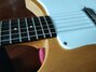 Rickenbacker 420/6 , Mapleglo: Free image