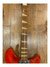 Rickenbacker 360/6 , Fireglo: Neck - Front