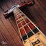 Rickenbacker 4003/4 , Fireglo: Neck - Front