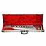 Rickenbacker 105/6 LapSteel, Silver: Free image2