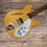 Rickenbacker 330/6 , Mapleglo: Body - Front