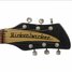 Apr 1980 Rickenbacker 320/6 Mod, Jetglo: Headstock