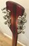 Rickenbacker 360/12 V64, Fireglo: Headstock - Rear