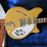Rickenbacker 370/12 Mod, Mapleglo: Free image