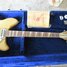 Rickenbacker 370/12 Mod, Mapleglo: Neck - Front