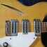 Rickenbacker 370/12 Mod, Mapleglo: Close up - Free2