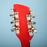 Rickenbacker 620/12 , Ruby: Headstock - Rear