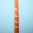 Rickenbacker 620/12 , Ruby: Neck - Front