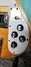 Rickenbacker 4003/4 , Mapleglo: Close up - Free2