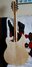 Rickenbacker 330/12 , Mapleglo: Full Instrument - Rear