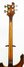 Rickenbacker 4001/4 , Autumnglo: Neck - Rear