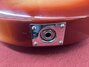 Rickenbacker 330/12 , Fireglo: Close up - Free