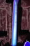 Rickenbacker 360/6 , Blueburst: Neck - Rear