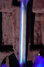 Rickenbacker 330/12 , Blueburst: Neck - Rear