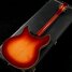 Rickenbacker 360/12 WB, Fireglo: Full Instrument - Rear