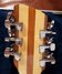 Rickenbacker 360/12 , Mapleglo: Headstock - Rear
