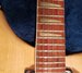 Rickenbacker 360/12 , Mapleglo: Neck - Front