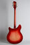 Rickenbacker 360/12 , Fireglo: Full Instrument - Rear