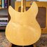 Rickenbacker 330/12 Mod, Mapleglo: Body - Rear