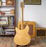 Rickenbacker 330/12 Mod, Mapleglo: Full Instrument - Rear