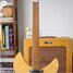 Rickenbacker 330/12 Mod, Mapleglo: Neck - Front
