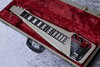 Rickenbacker SW/6 LapSteel, Gray: Free image2