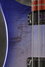 Rickenbacker 4004/4 Laredo, Blueburst: Close up - Free2