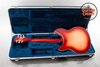 Rickenbacker 360/6 WB, Fireglo: Full Instrument - Rear